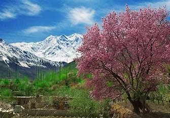 Skardu Velley Blossom Tours
 view from base camp